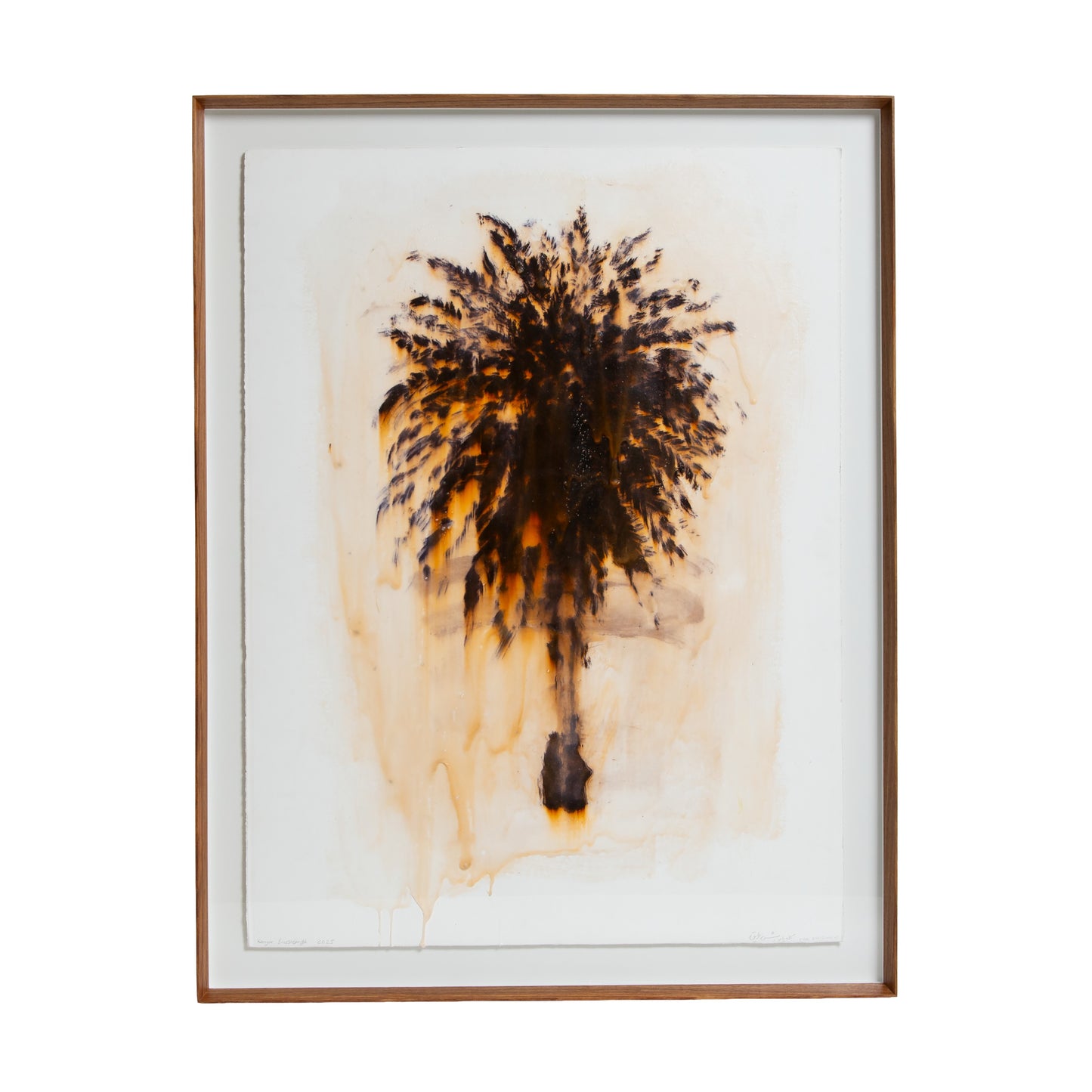 Palm Tree at Fairview Park (view from studio), 2025