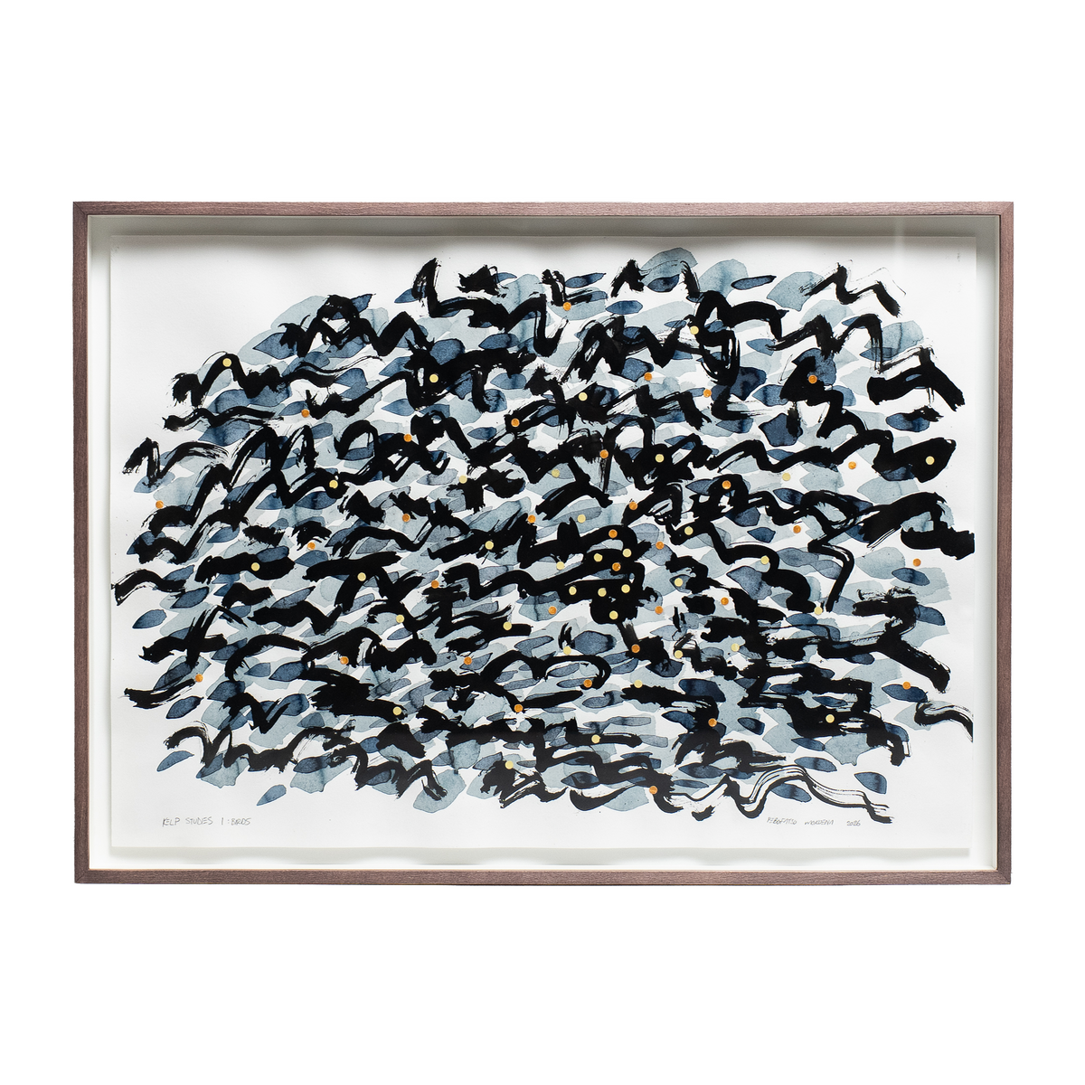 Kelp Studies 1: Birds, 2026