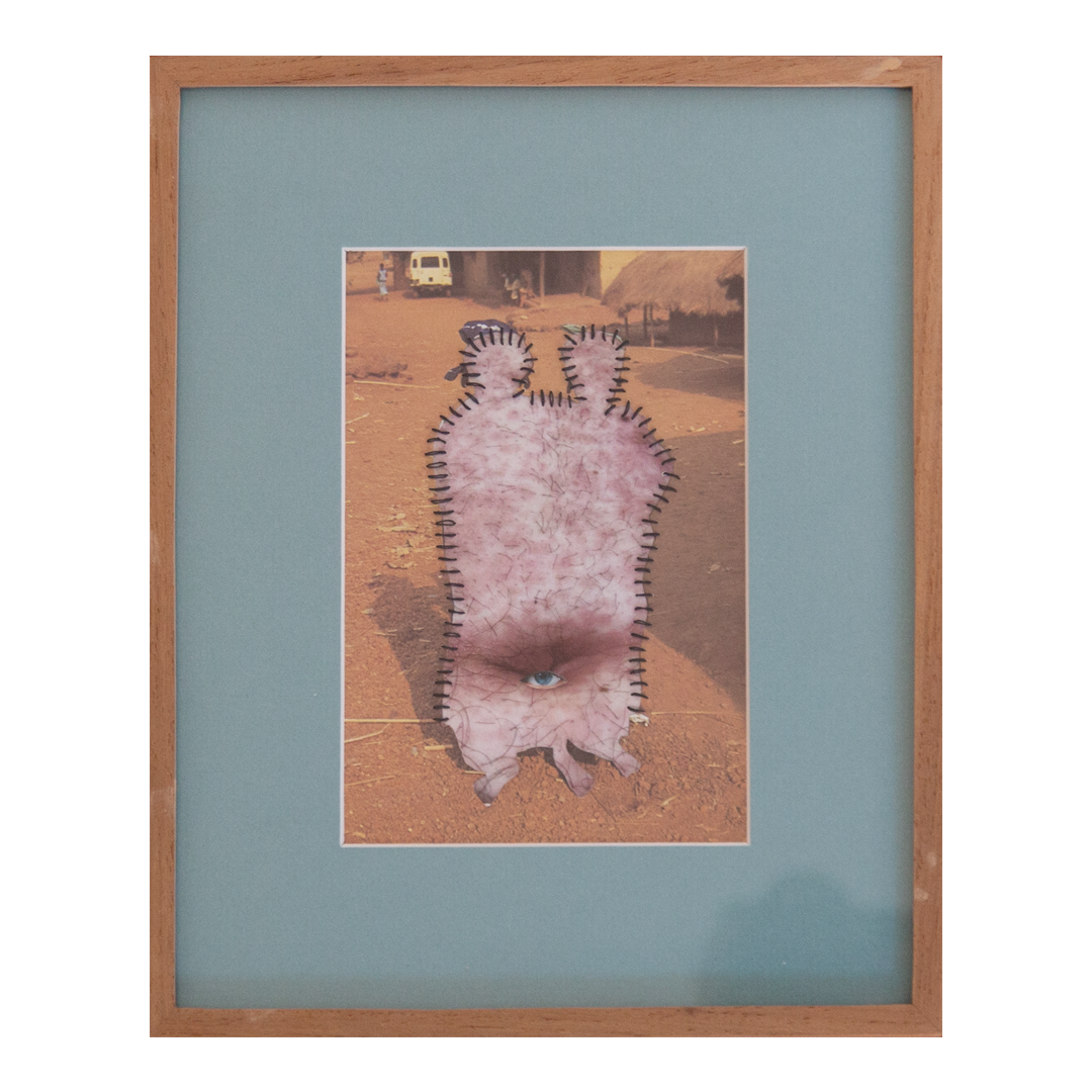 Inside the belly of the beast, 2025