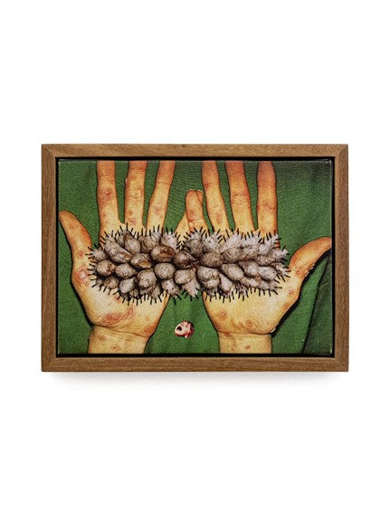 There’s No Resisting, 2025