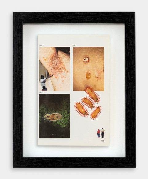 Ecclesiastes III ( A Time for Everything), 2025