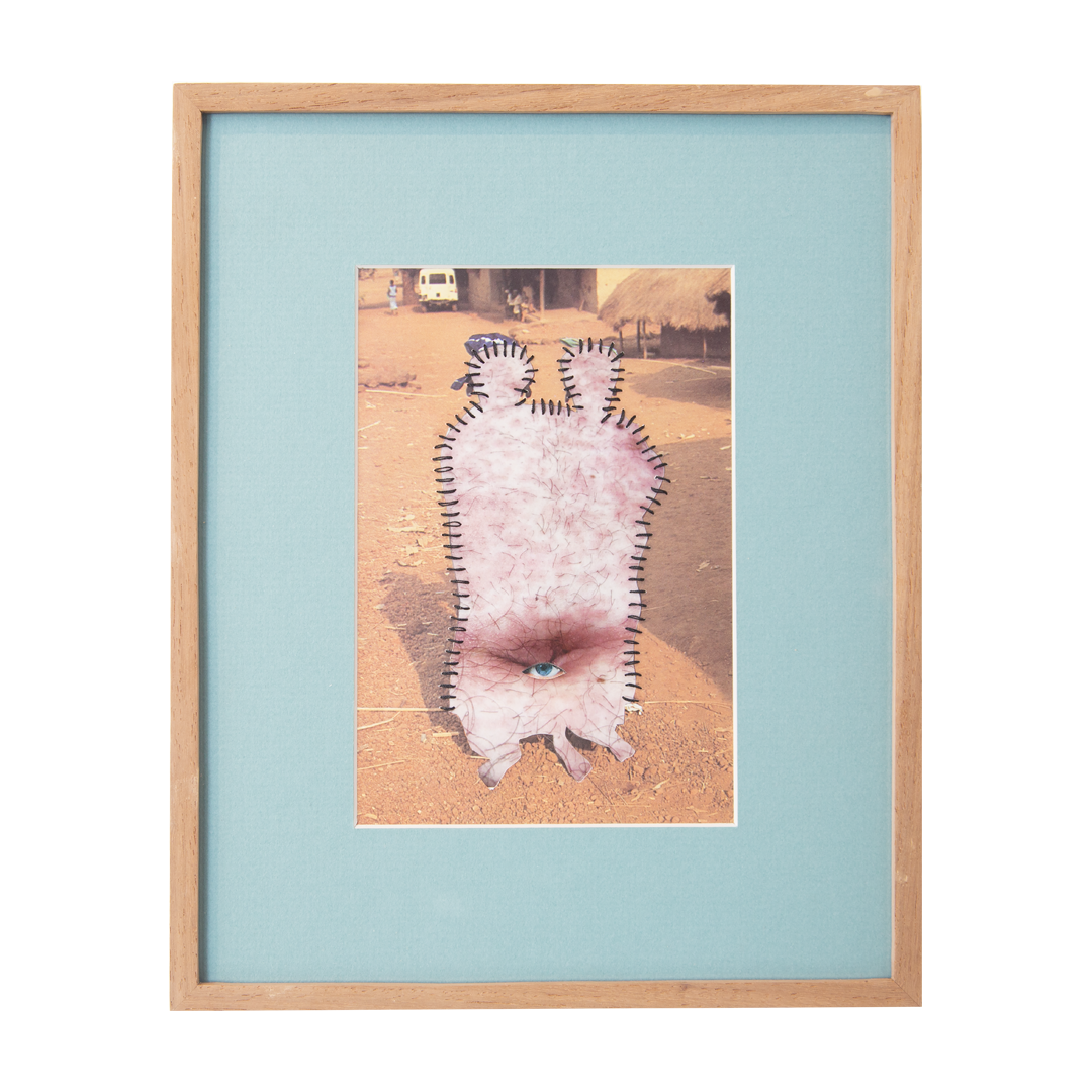 Inside the belly of the beast, 2025