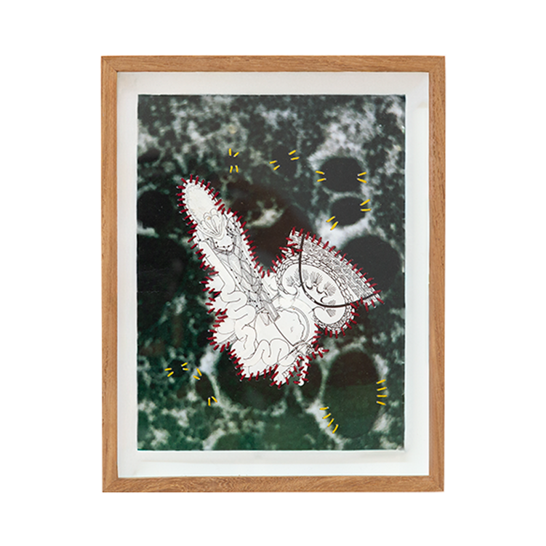 Parasite reimagined IV, 2025