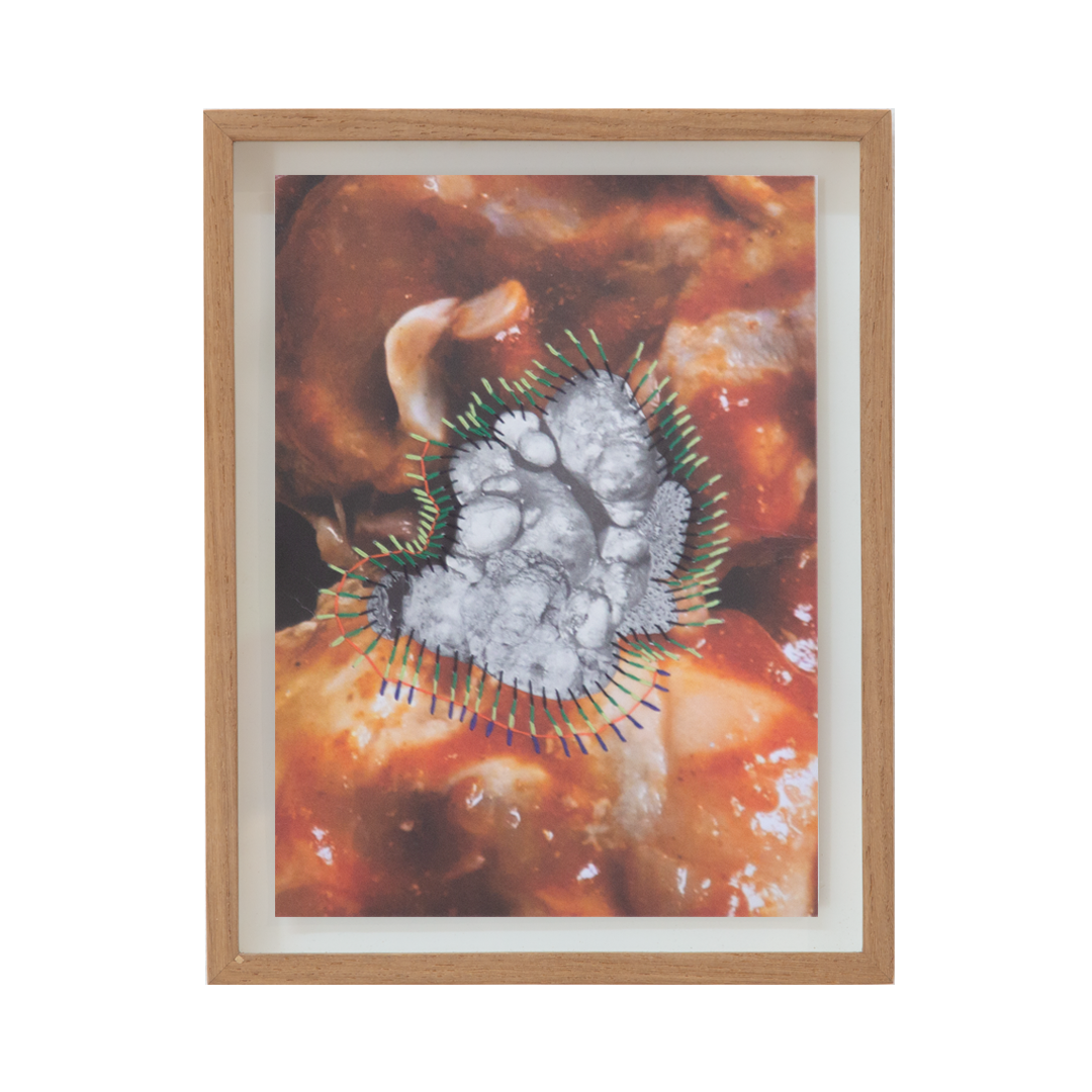 Parasite reimagined III, 2025