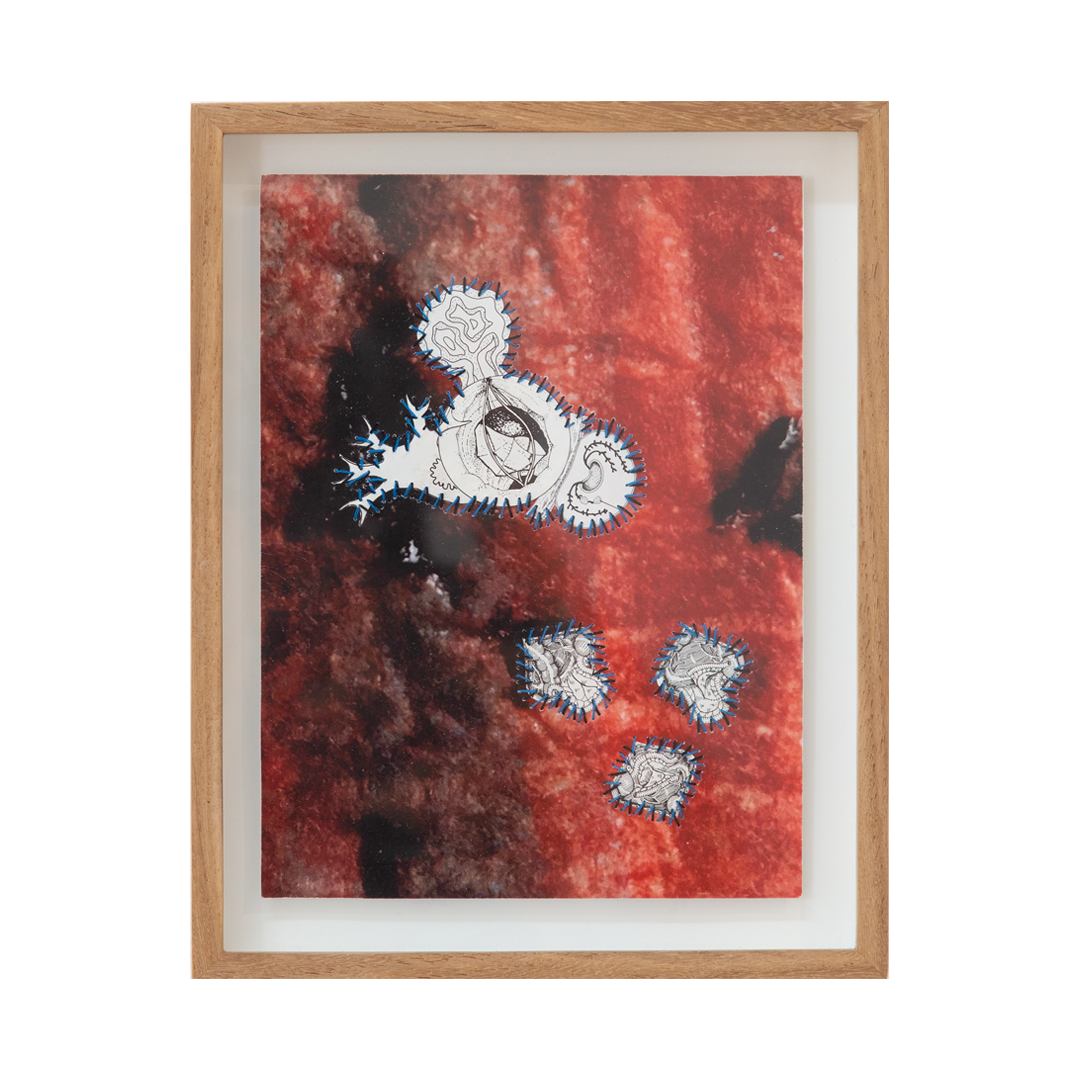 Parasite reimagined II, 2025