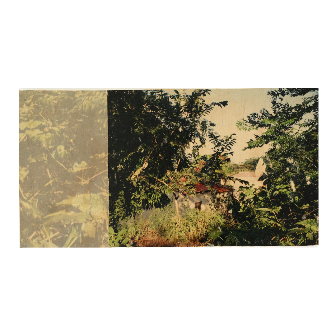 At least for now II, 2026