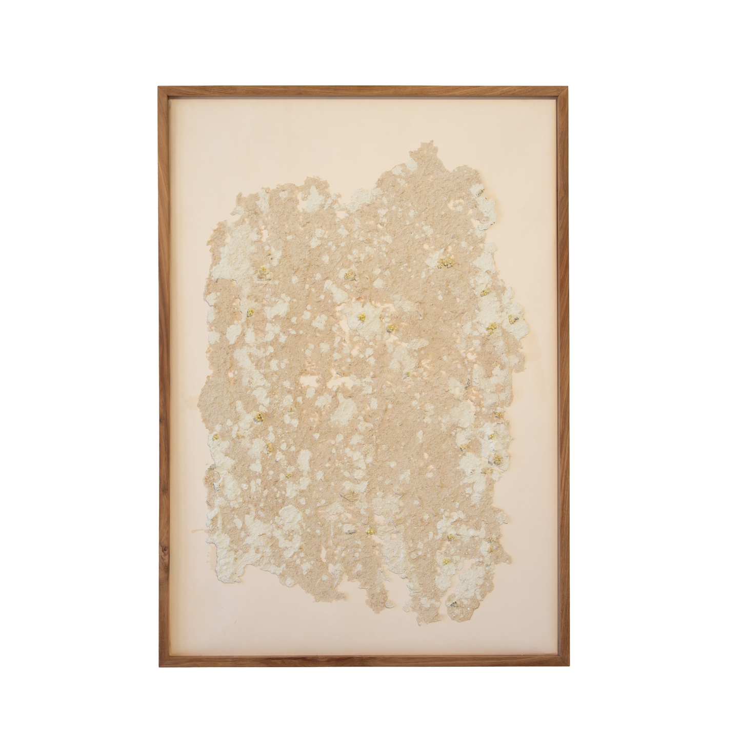 Land of Love and Grace, 2025