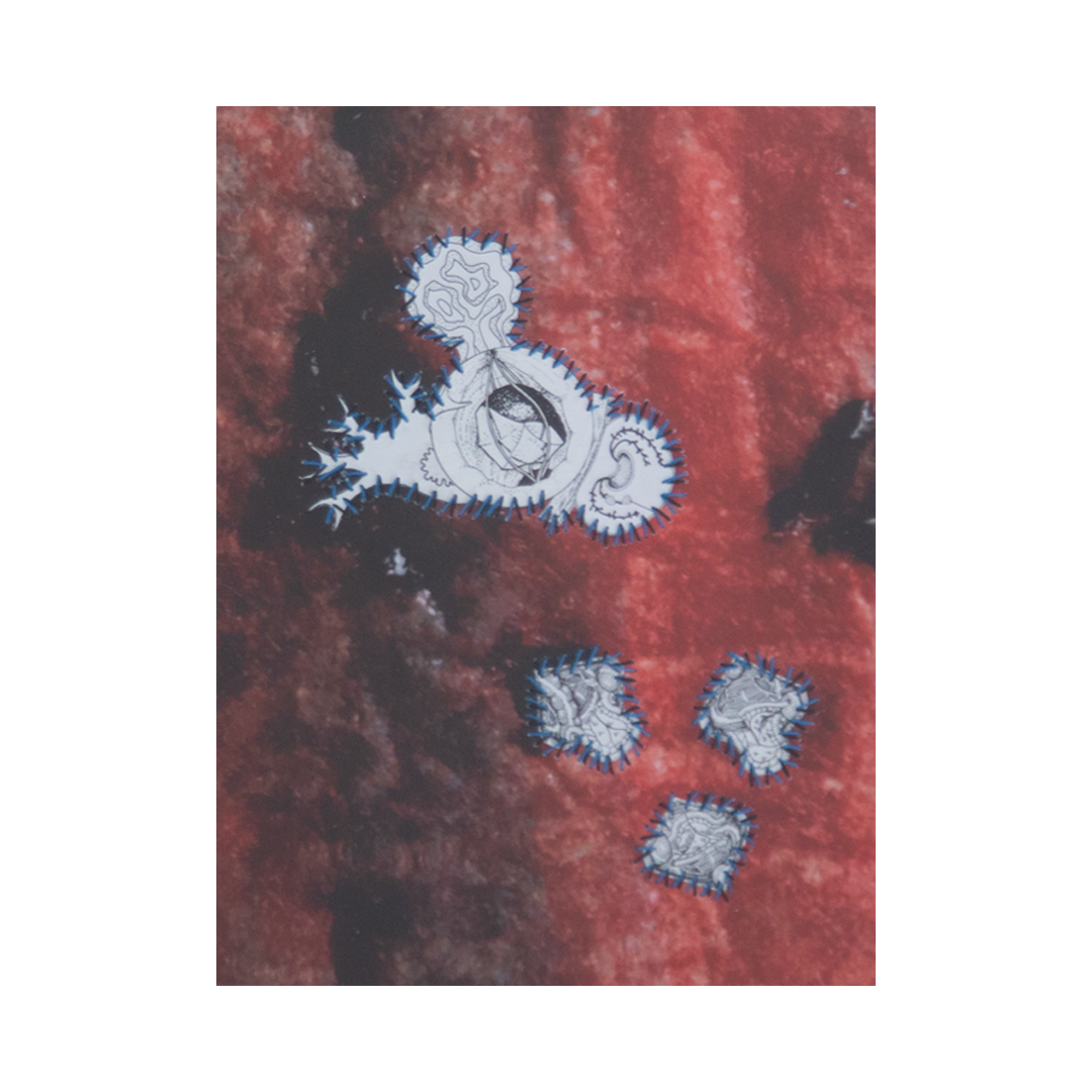 Parasite reimagined II, 2025