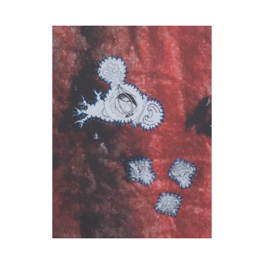 Parasite reimagined II, 2025