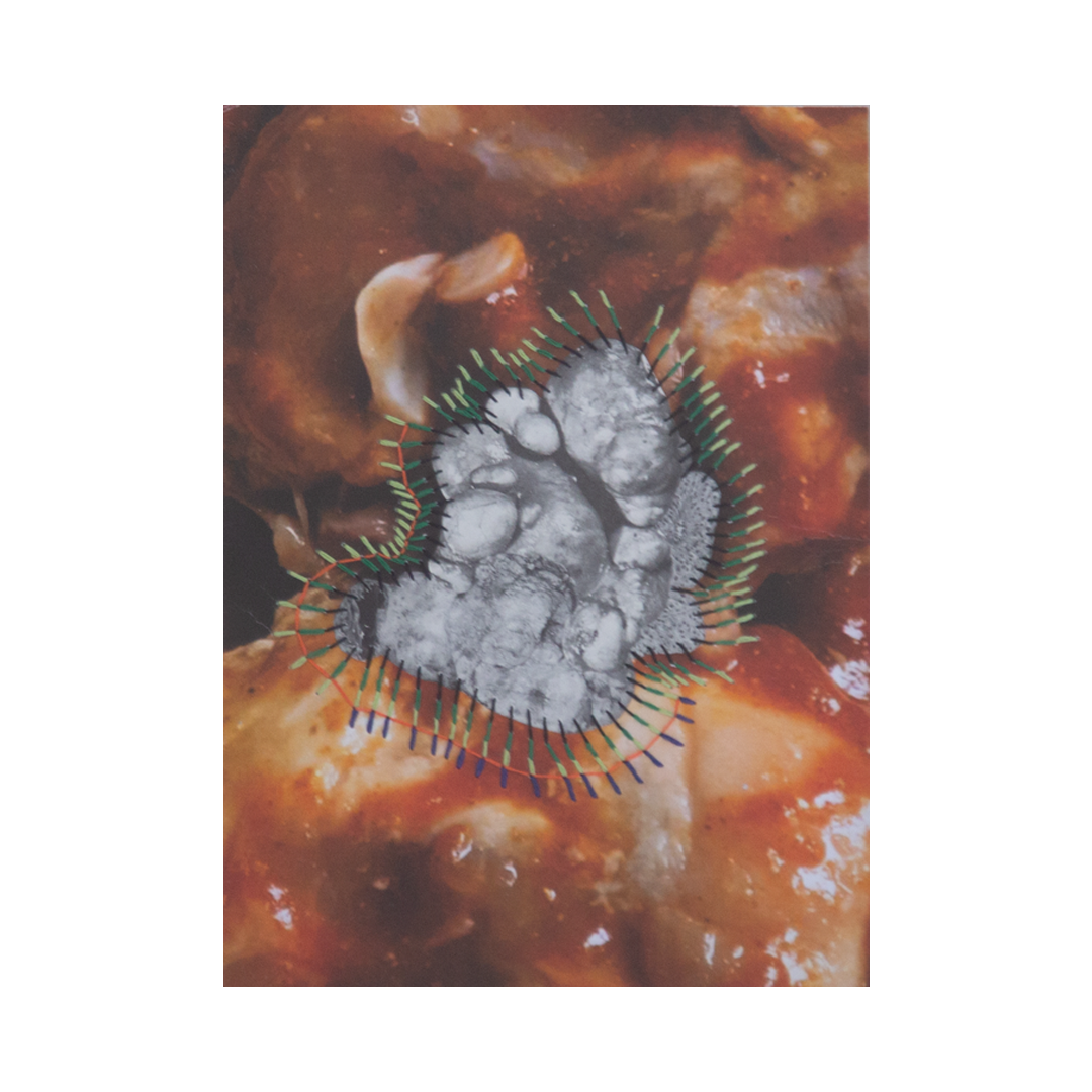 Parasite reimagined III, 2025