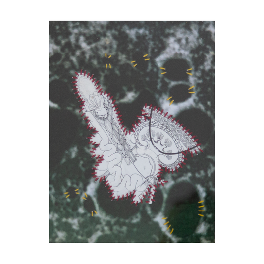 Parasite reimagined IV, 2025