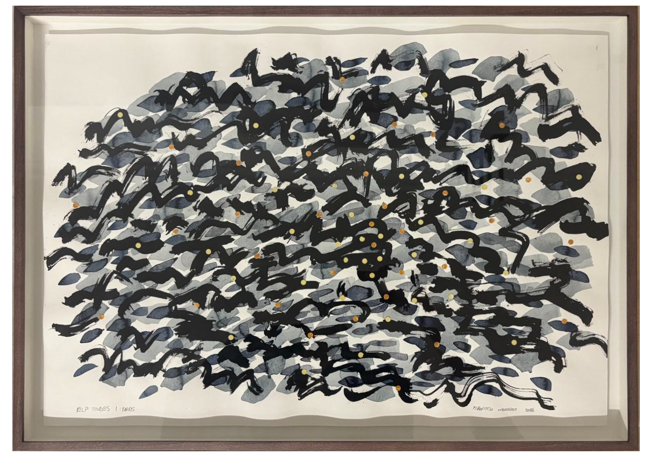 Kelp Studies 1: Birds, 2026